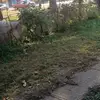 Sandra Martin - @sandra.martin10 - TikTok