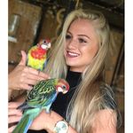 @sandr.amarvin - Instagram