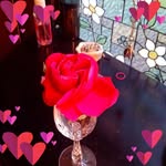 Sandra Maser - @sandramaser9 - Instagram