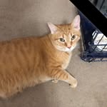 Sandra Mashburn - @mashburn446 - Instagram