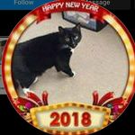 Sandra Mashburn - @jeannm630 - Instagram
