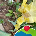 Sandra Mashburn - Facebook