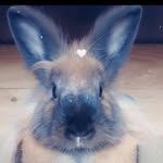 Sandra Flores Masis - @sandra252310 - Instagram