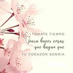 sandra masis - @smasis990 - Instagram
