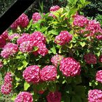 Sandra Masson - @masson6510 - Instagram