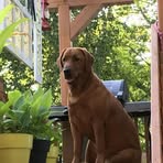 Sandra Matheson Denis - Facebook