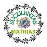 Sandra Mathias - @suculentas.mathias - Instagram