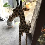 Sandra Mathieson - Facebook