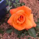 Sandra Matlock-Knutson - Facebook