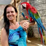 Sandra de Mattia - @momentos_e_registros - Instagram
