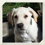 Sandra Mauger - @mauger.sandra - Instagram