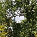Sandra Baldridge - @sandra.mauldinbaldridge.3 - Instagram