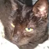 SandraMazzeo - @sandramazzeokpwsblm - TikTok