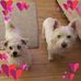 Sandra Mcauley - Facebook