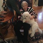 sandi - @sandramcauliffe - Instagram