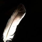 Sandra Ellen McCaffrey - @twofifteen666 - Instagram