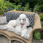 Sandra McCaffrey - @sandramccaffrey759 - Instagram