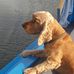 Sandra McCaffrey - Facebook