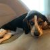 Sandra Mccombs - Facebook