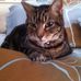 Sandra McCombs - Facebook