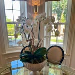 Sandra McCray - @theemptynestpsychologist - Instagram