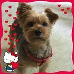 Sandra McCray Maynard - @sandramccraymaynard - Instagram