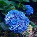 Sandra McCreight - Facebook