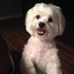 Sandra McCreight - Facebook