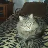 Sandra Mccurry - @sandra.mccurry - TikTok