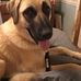 Sandra McCurry - Facebook