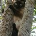Sandra McEntire - Facebook