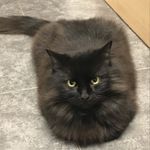 Sandra McEwan - @sandra_mcewan1676 - Instagram