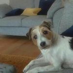 Sandramcewan - @sandramcewan8 - Instagram