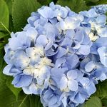 Sandra Mcfall - @sandra.mcfall.549 - Instagram