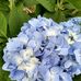 Sandra Mcfall - Facebook