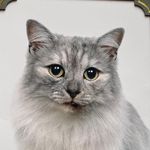 Sandra McFarlane - @sandra.mcfarlane.12 - Instagram