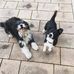 Sandra McFarlane - Facebook