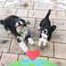 Sandra Mcfarlane - Facebook