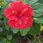 Sandra McFarlane - @sandra.mcfarlane.370 - Instagram