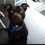 Sandra Armstrong Mcgovern - @sandraarmstrongmcgovern - Instagram