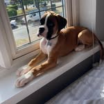 Sandra McGovern - @sandra.mcgovern - Instagram