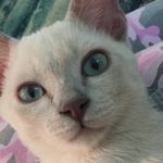 Sandra McGraw - @sandra.mcgraw.55 - Instagram