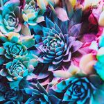 Sandra McGurk - @sjmcgurk - Instagram