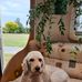Sandra McIntyre - Facebook