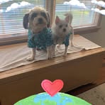 Sandy McKeever - Facebook
