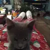 sandramcmahan5 - @sandramcmahan5 - TikTok