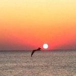 Sandra McMakin - @sdparks52 - Instagram