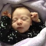 Sandra McNabb - @mcnabbsandra - Instagram