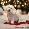 Sandra Mc Nally - @sandra.mc.nally - TikTok
