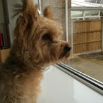 Sandra Mcnally - @sanmac55 - Instagram